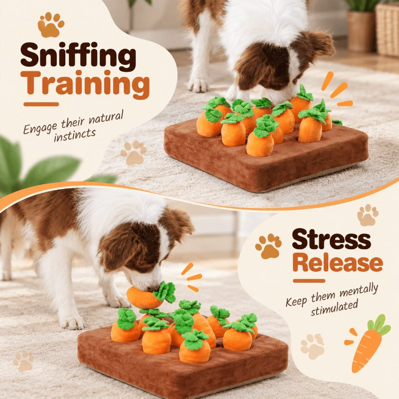 Interactive Carrot Snuffle Mat