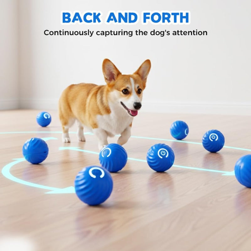 Electric Rolling Pet Toy Ball