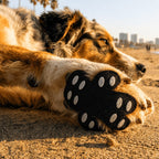 Anti-Slip Dog Paw Grips