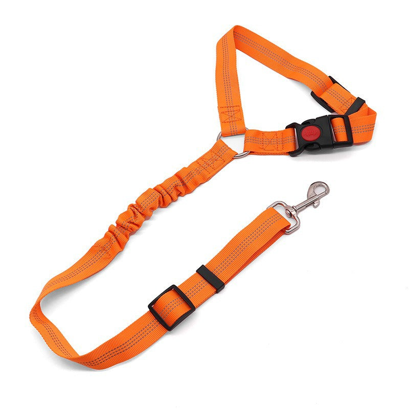 Shock-Absorbing Dog Car Restraint