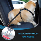 Shock-Absorbing Dog Car Restraint