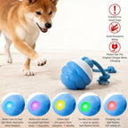 Smart Dog Toy Ball
