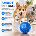 Electric Rolling Pet Toy Ball