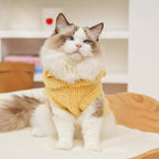 Cartoon Fleece Pet Hoodie