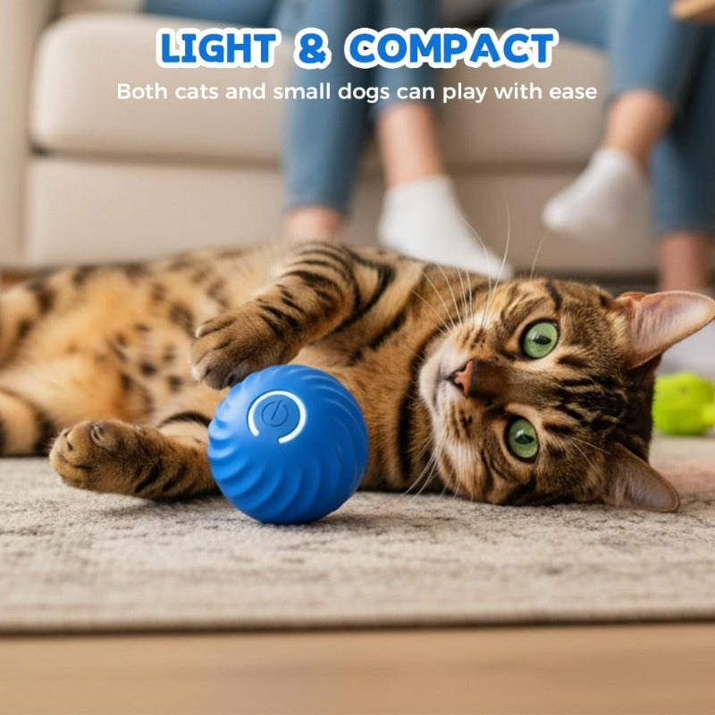 Electric Rolling Pet Toy Ball